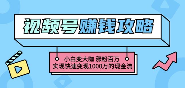 玩转微信视频号赚钱:小白变大咖涨粉百万实现快速变现1000万的现金流